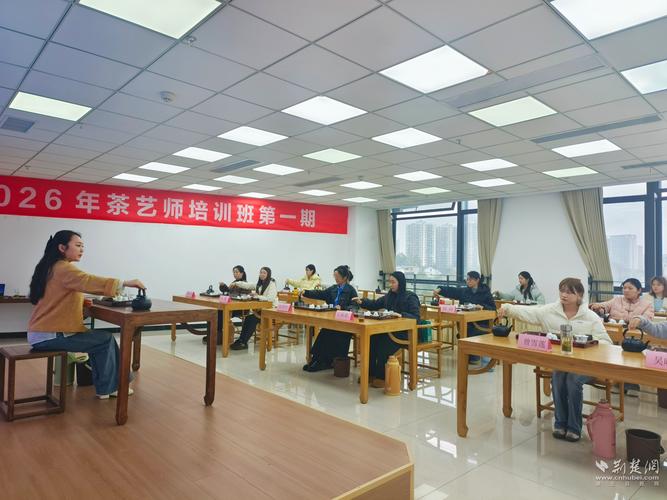 法治惠民惠企实事项目宣传展示㉛丨恩施:创新"人力资源服务+"模式